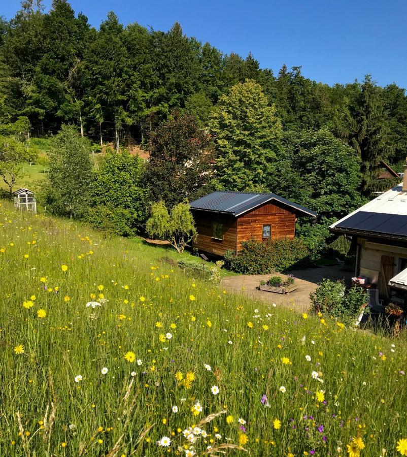 Gite Le Mazot De Vouan Saint-Andre-de-Boege Exterior foto
